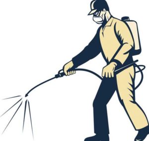pest control